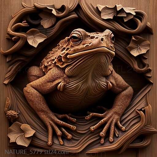 st toad 3